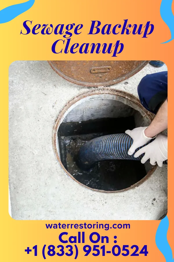 Sewage Backup Cleanup in McFarland, WI