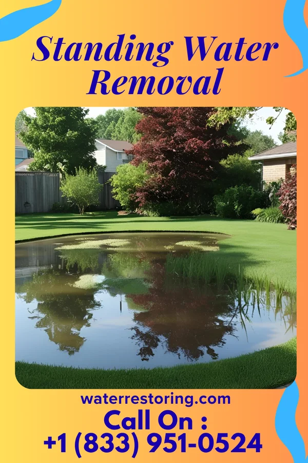 Standing Water Removal in McFarland, WI